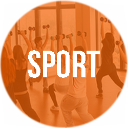 medienschule babelsberg fachabitur rahmenlehrplan sport