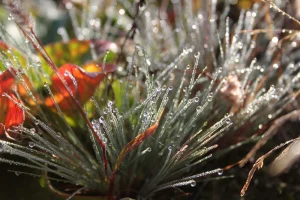 medienschule babelsberg grafikdesign fotografie