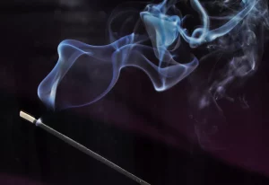 medienschule babelsberg grafikdesign fotografie