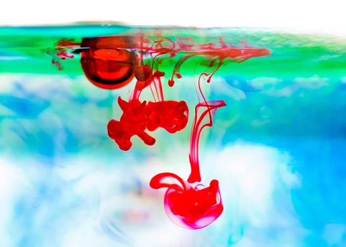 medienschule babelsberg grafikdesign fotografie