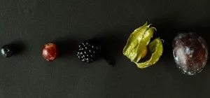 medienschule babelsberg grafikdesign fotografie