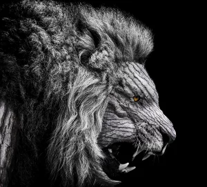 medienschule babelsberg grafikdesign fotografie