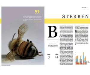 arbeitsbeispiel: grafikdesign layout